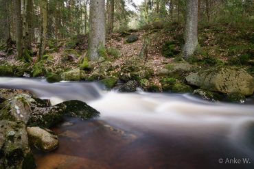 Einzelcoaching Langzeitbelichtung im Harz © Anke W.