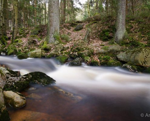 Einzelcoaching Langzeitbelichtung im Harz © Anke W. Einzelcoaching Langzeitbelichtung im Harz © Anke W.