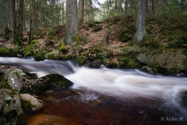 Einzelcoaching Langzeitbelichtung im Harz © Anke W.