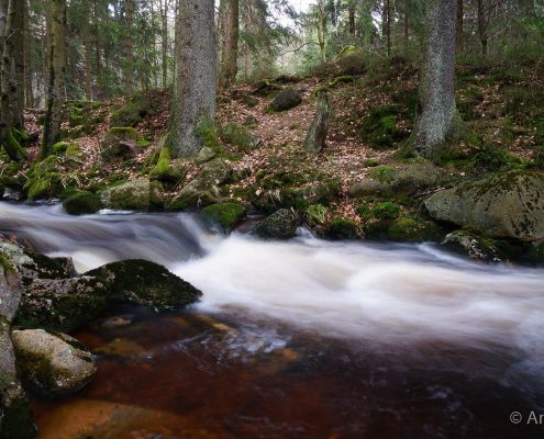 Einzelcoaching Langzeitbelichtung im Harz © Anke W. Einzelcoaching Langzeitbelichtung im Harz © Anke W.