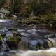 Fotokurs Langzeitbelichtung im Harz © Daniela R.