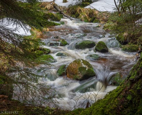 Fotokurs Langzeitbelichtung im Harz © Daniela R. Fotokurs Langzeitbelichtung im Harz © Daniela R.