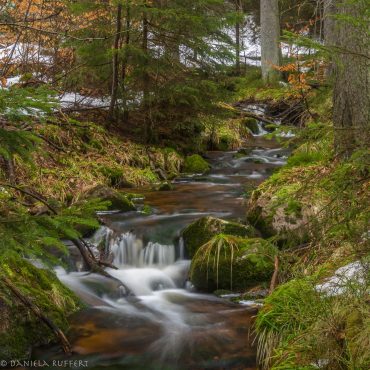 Fotokurs Langzeitbelichtung im Harz © Daniela R.