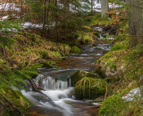 Fotokurs Langzeitbelichtung im Harz © Daniela R. Fotokurs Langzeitbelichtung im Harz © Daniela R.