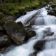 Frankbach im Ahrntal