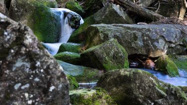 Harzer Gipfeltour - Schwarzes Schluftwasser