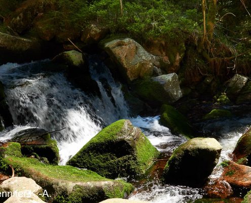 Fotokurs Langzeitbelichtung im Harz