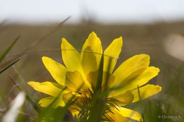 Fotowochenende Karstwanderweg im Frühjahr 2018