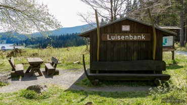 Fotowanderung auf dem Teufelstieg im Nationalpark Harz