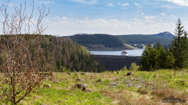 Fotowanderung auf dem Teufelstieg im Nationalpark Harz