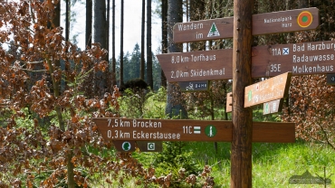Fotowanderung auf dem Teufelstieg im Nationalpark Harz