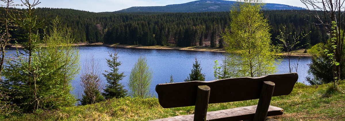 Fotowanderung auf dem Teufelstieg im Nationalpark Harz