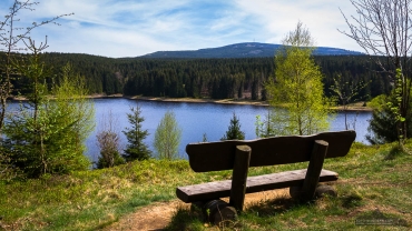 Fotowanderung auf dem Teufelstieg im Nationalpark Harz