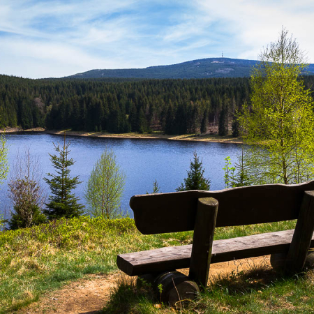 Fotowanderung auf dem Teufelstieg im Nationalpark Harz