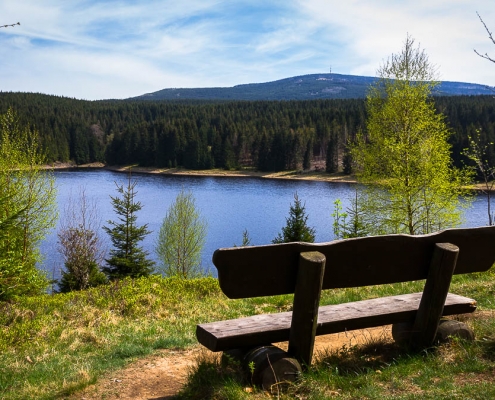 Fotowanderung auf dem Teufelstieg im Nationalpark Harz