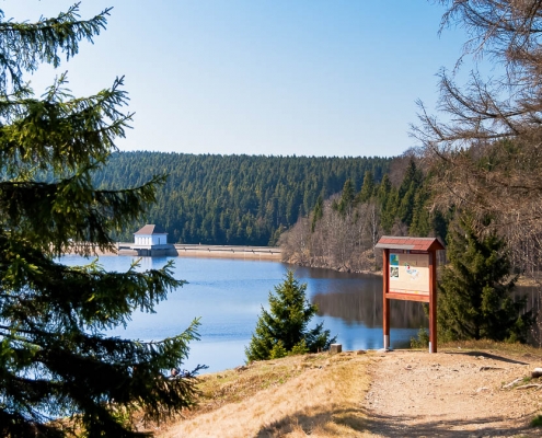 Fotowanderung auf dem Teufelstieg im Nationalpark Harz