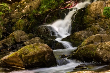 Fotokurs auf den Klippen des Selketals © Janis R