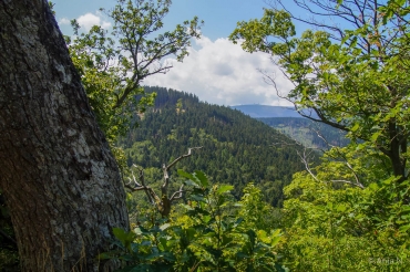 Fotoworkshop-Wochenende im Harz © Anja N.