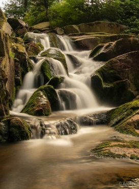 Fotoworkshop-Wochenende im Harz © Anja N.