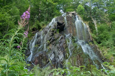 Fotoworkshop-Wochenende im Harz © Anja N.