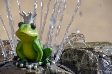 Fotoworkshop-Wochenende im Harz © Anja N.