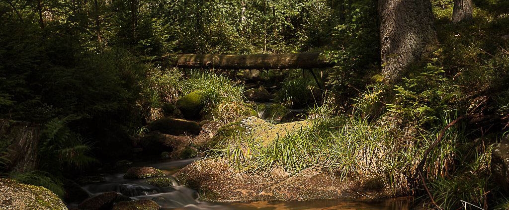 Fotokurs Langzeitbelichtung im Harz