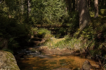 Fotokurs Langzeitbelichtung im Harz