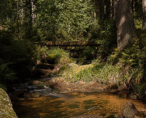 Fotokurs Langzeitbelichtung im Harz