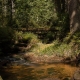 Fotokurs Langzeitbelichtung im Harz
