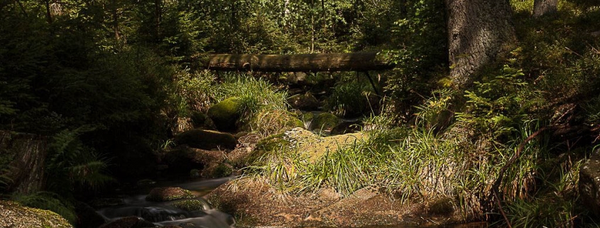 Fotokurs Langzeitbelichtung im Harz
