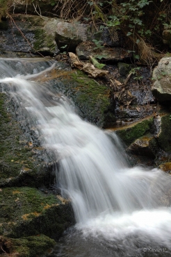 Familienwanderung mit Fotokurs im Ilsetal