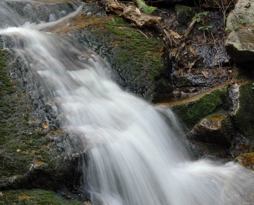 Familienwanderung mit Fotokurs im Ilsetal