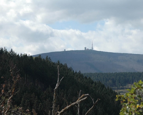 Familienwanderung mit Fotokurs im Ilsetal