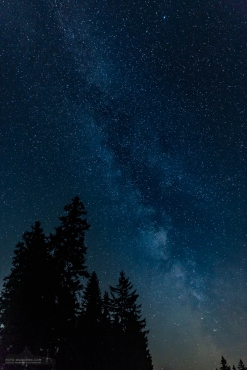 Milchstraße am Oderteich