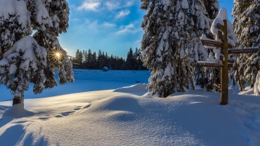 Winterwandern im Harz © Andreas Levi - Foto-Wandern.com - ALP_8028