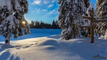 Winterwandern und Fotokurse im Harz