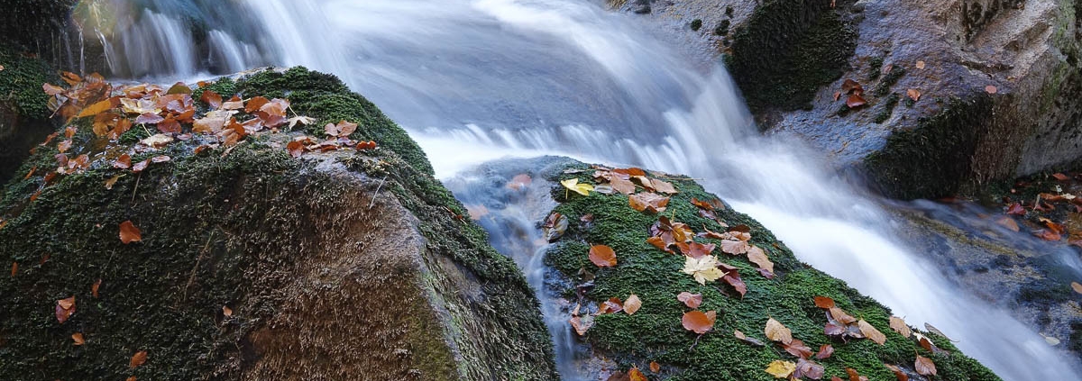 Fotoworkshop-Wochenende im Harz - Herbst 2018