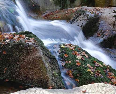 Fotoworkshop-Wochenende im Harz - Herbst 2018