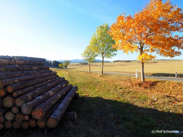 Fotoworkshop-Wochenende im Harz - Herbst 2018
