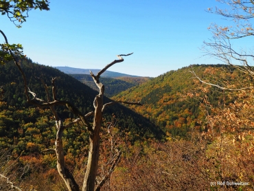 Fotoworkshop-Wochenende im Harz - Herbst 2018