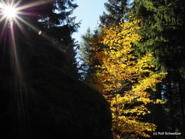 Fotoworkshop-Wochenende im Harz - Herbst 2018