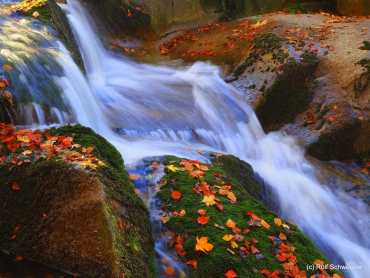 Fotoworkshop-Wochenende im Harz - Herbst 2018