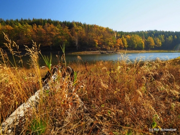 Fotoworkshop-Wochenende im Harz - Herbst 2018