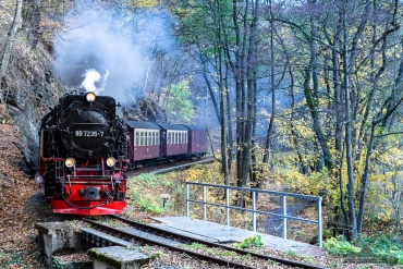 Familien-Fotokurs als individuelle Tour