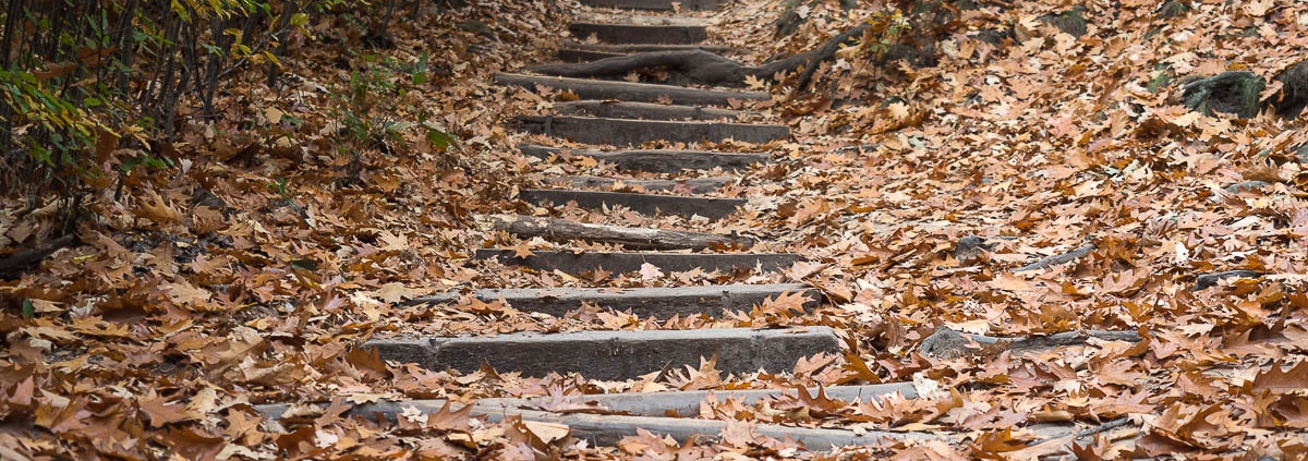 Fotoreise Sächsische Schweiz - Herbst 2018 © Christa F.