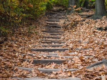 Fotoreise Sächsische Schweiz - Herbst 2018 © Christa F.