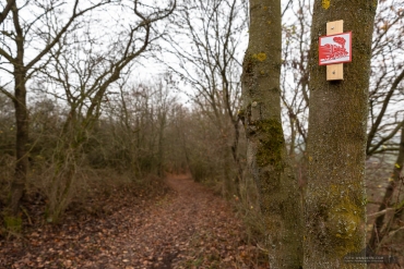 Südharzer Dampflok-Steig