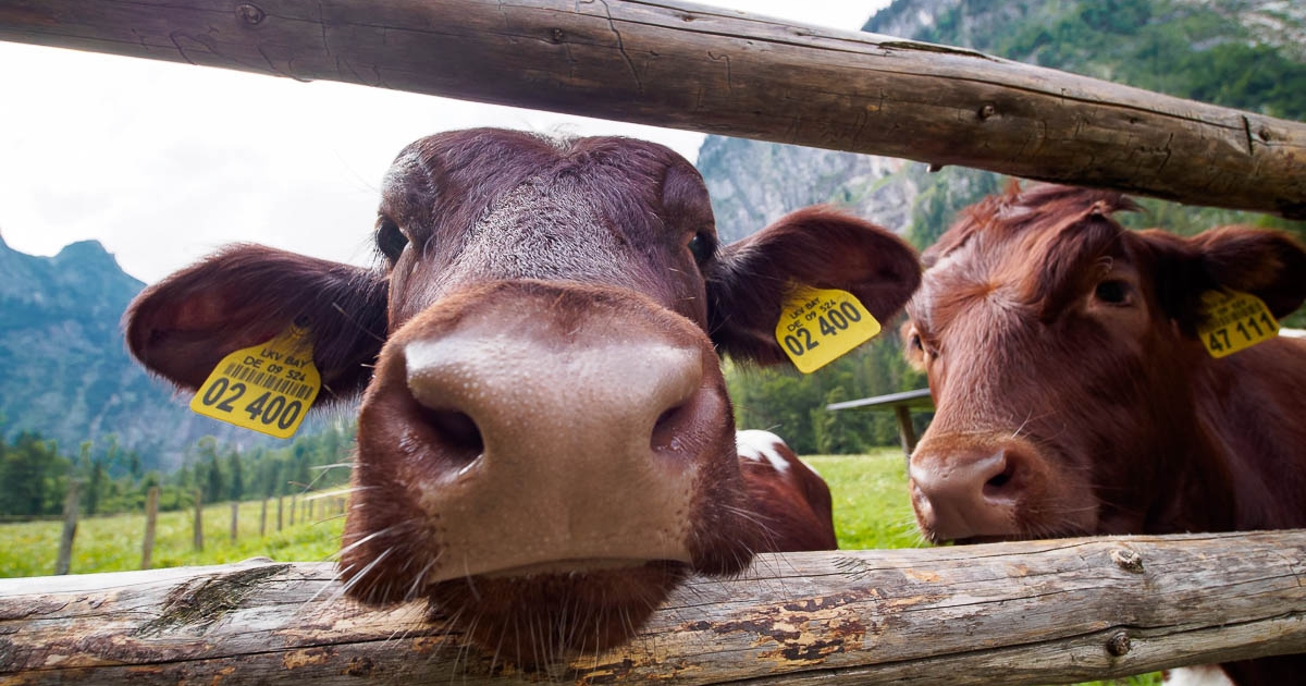 Fotokurs-Wanderwoche Berchtesgadener Land © Dagmar K. - 15