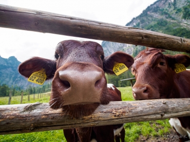 Fotokurs-Wanderwoche Berchtesgadener Land © Dagmar K. - 15