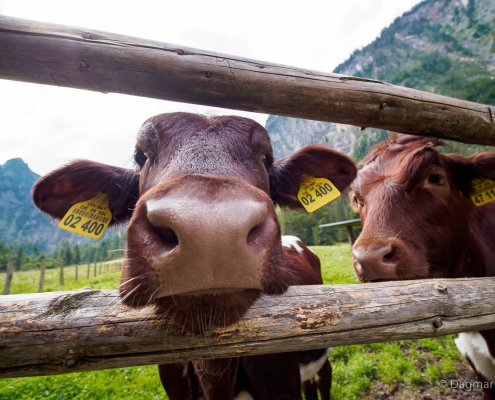 Fotokurs-Wanderwoche Berchtesgadener Land © Dagmar K. - 15